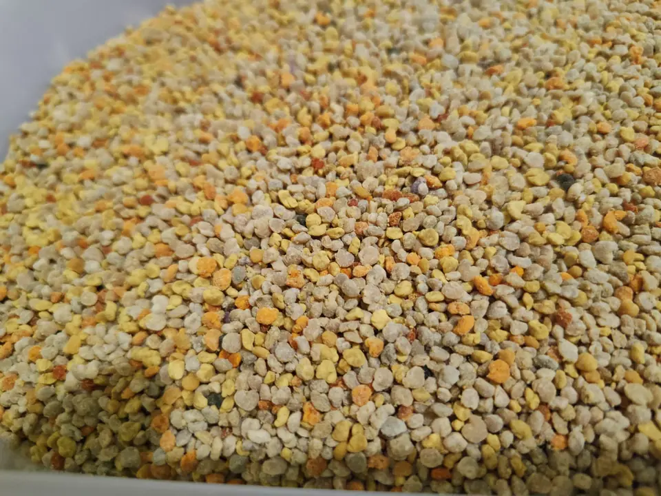 Granuli di polline di tanti colori